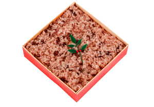 赤飯折箱　１升