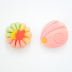 今月の上生菓子