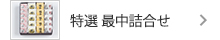 特選最中詰合せ
