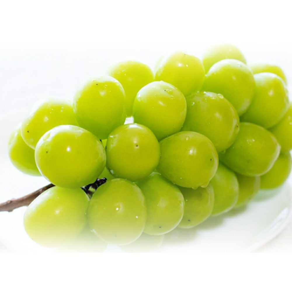 ≪ポイント２倍≫川越夜舟詰め合わせＭＩＸ９個入