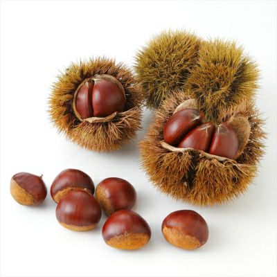 栗最中 ３個入（パック）※熨斗・掛け紙対応不可