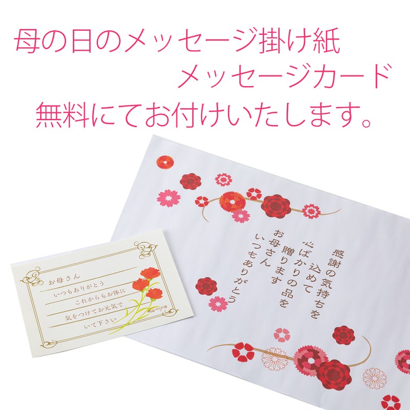 母の日ギフト母の日くらづくり銘菓撰６号