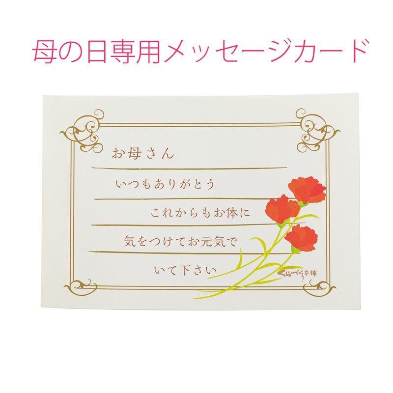 母の日ギフト母の日くらづくり銘菓撰５号