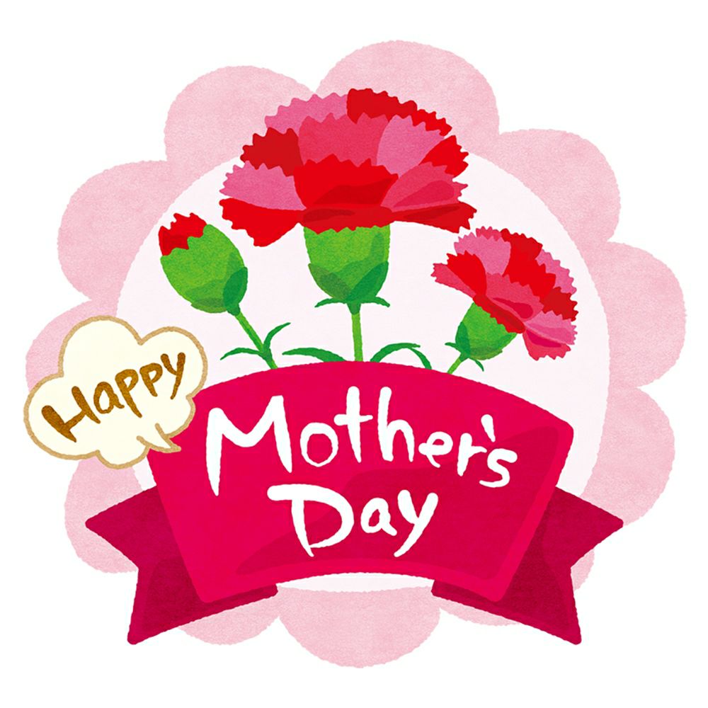 母の日ギフト母の日くらづくり銘菓撰５号