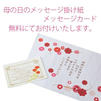【送料込商品】母の日ギフト母の日専用・送料込特別ギフト「お母さん！大好き」