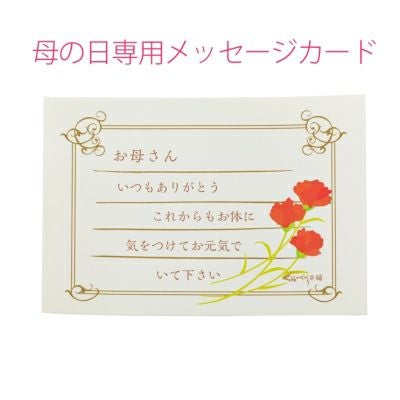 【送料込商品】母の日ギフト母の日専用・送料込特別ギフト「お母さん！大好き」